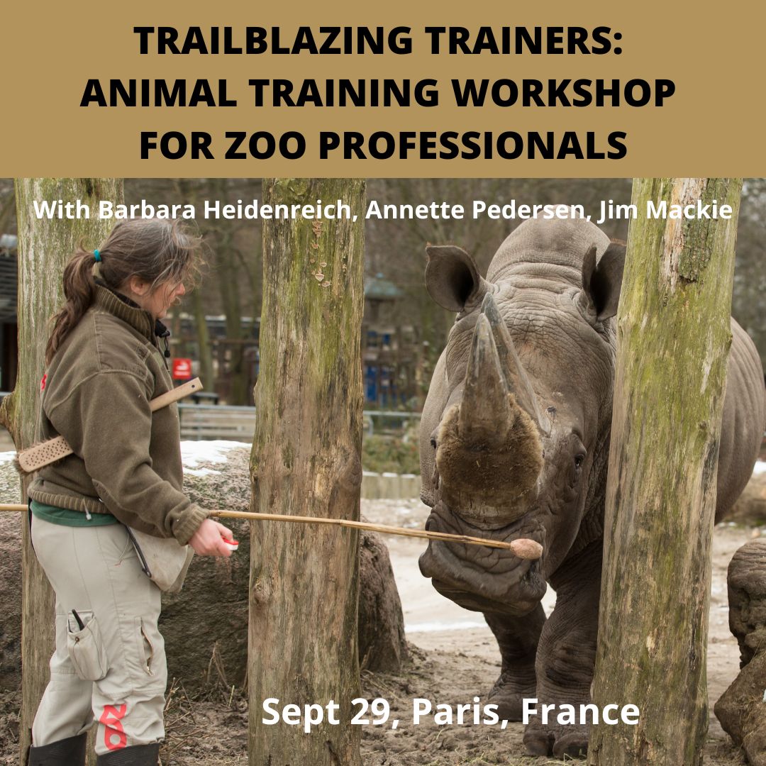 Upcoming Events | Animal Training Fundamentals